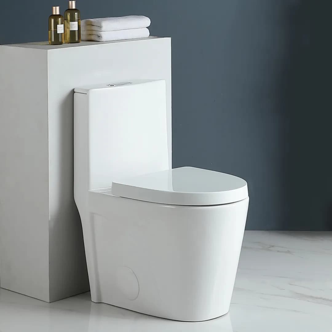24T01-GW toilet — view 1
