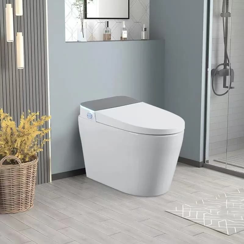 DCS-02 toilet — view 1
